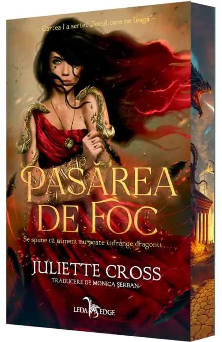 FOCUL CARE NE LEAGA 1 PASAREA DE FOC