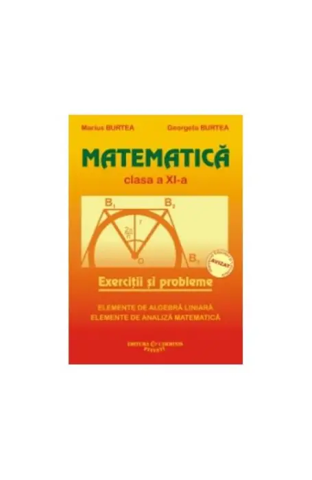 Matematica. Exercitii si probleme. Clasa a XI-a