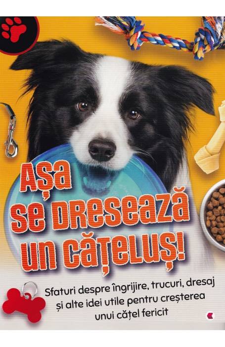 ASA SE DRESEAZA UN CATELUS KREATIV