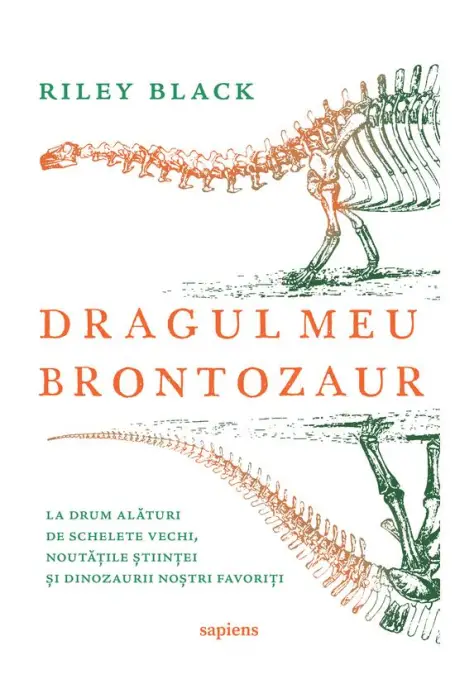 DRAGUL MEU BRONTOZAUR SAPIENS