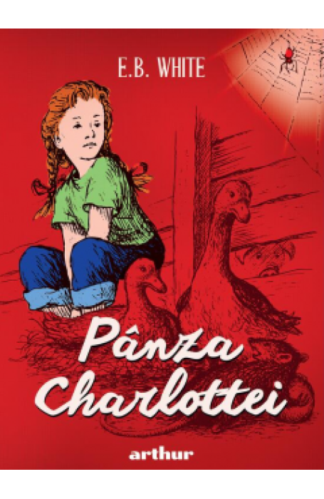 PANZA CHARLOTTEI  HC FORMAT MARE 2026