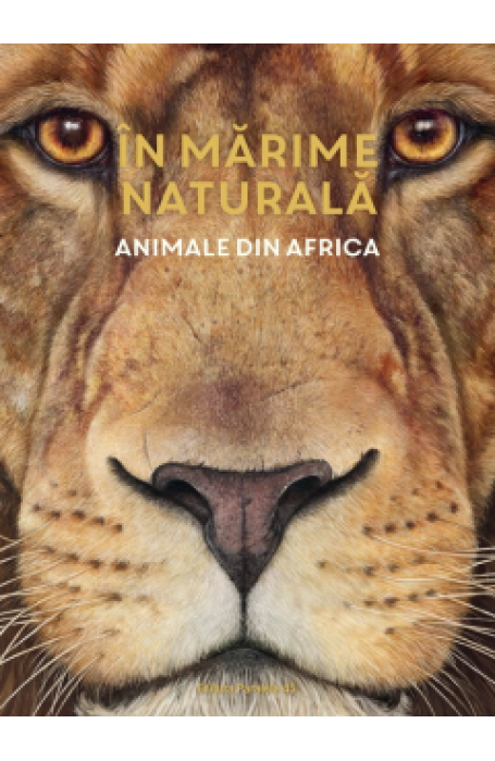 IN MARIME NATURALA - ANIMALE DIN AFRICA P45