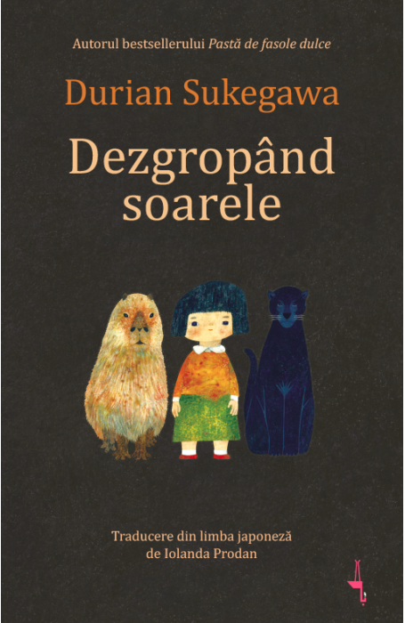 DEZGROPAND SOARELE