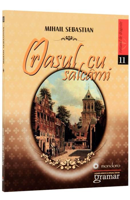 ORASUL CU SALCAMI NOU