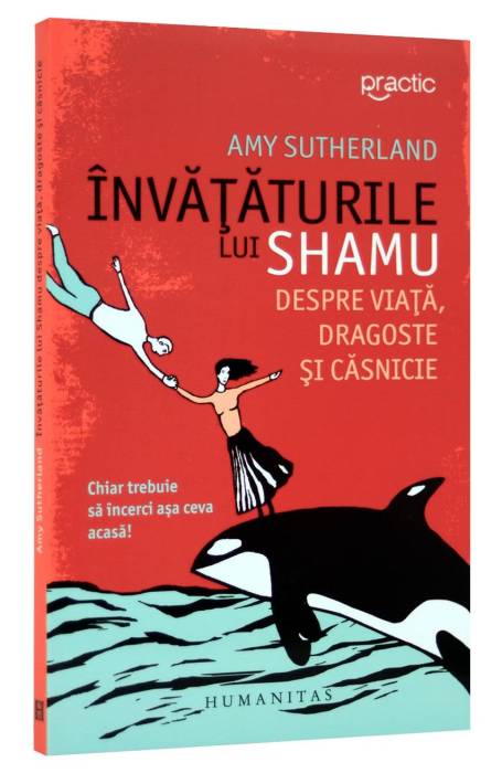 INVATATURILE LUI SHAMU