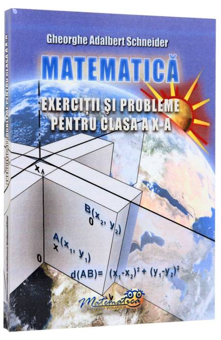 MATEMATICA X EXERCITII SCHNEIDER
