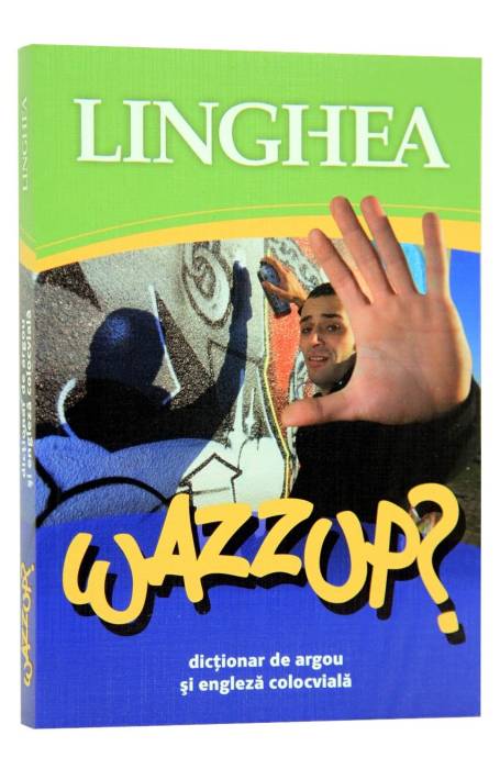 WAZZUP? DICTIONAR DE ARGOU