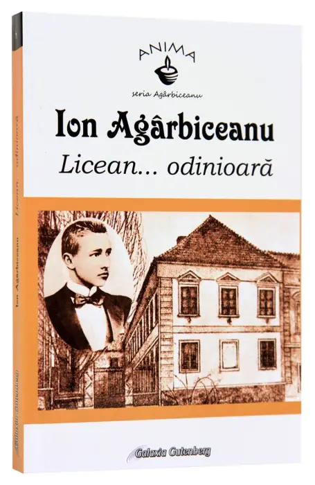 LICEAN .. ODINIOARA