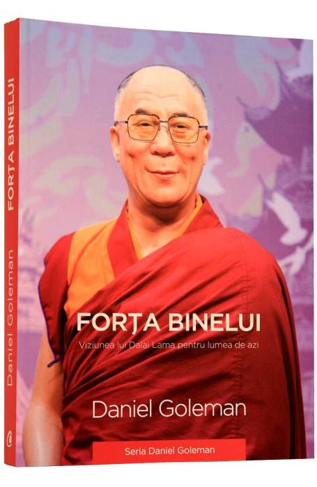 FORTA BINELUI CV