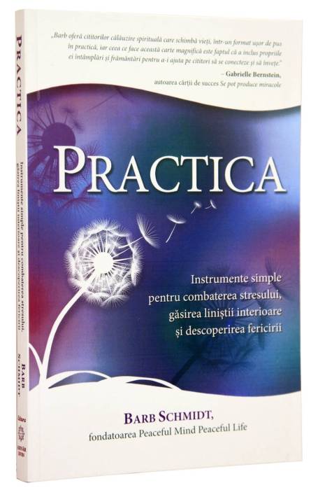 PRACTICA