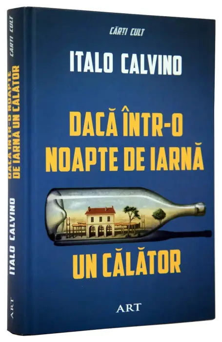 DACA INTR-O NOAPTE DE IARNA ART
