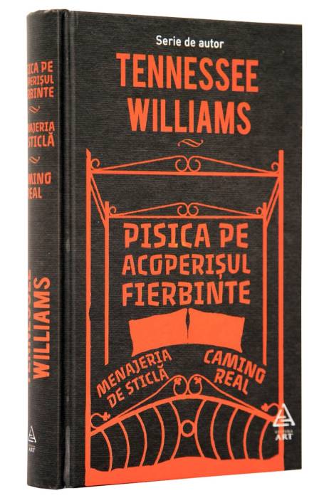 PISICA PE ACOPERISUL FIERBINTE ART