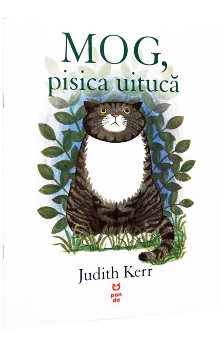 MOG, PISICA UITUCA