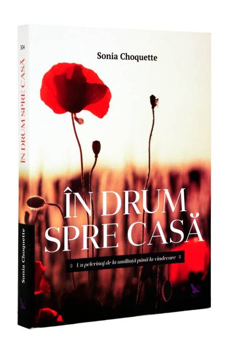 IN DRUM SPRE CASA 