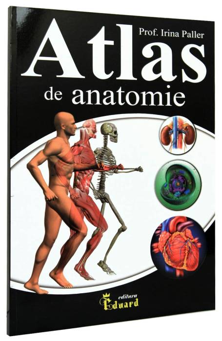 ATLAS DE ANATOMIE EDUARD