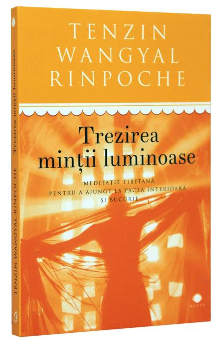 TREZIREA MINTII LUMINOASE