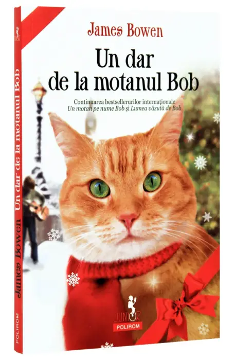 UN DAR DE LA MOTANUL BOB