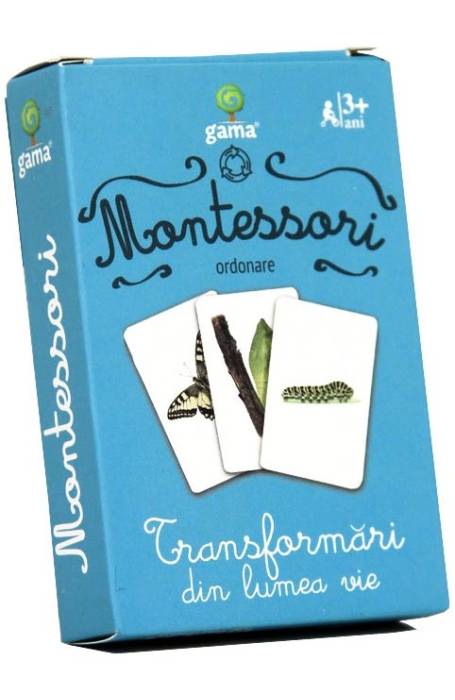 TRANSFORMARI DIN LUMEA VIE CJ MONTESSORI