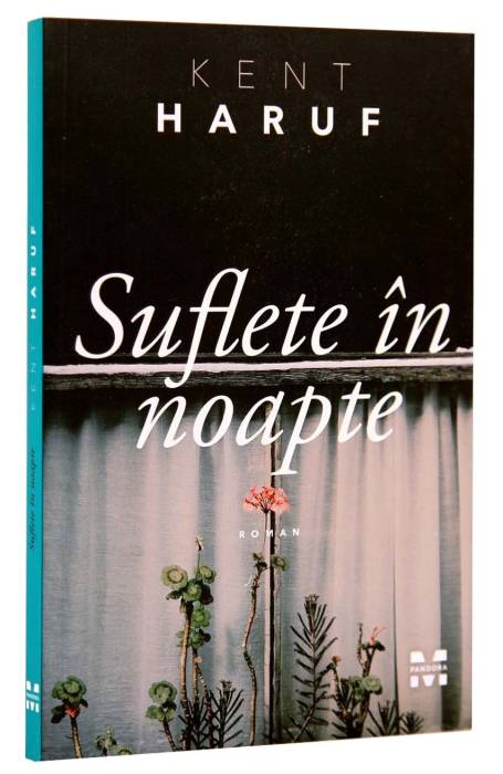 SUFLETE IN NOAPTE