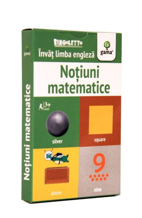 NOTIUNI MATEMATICE. INVAT LIMBA ENGLEZA BINGOLETTO