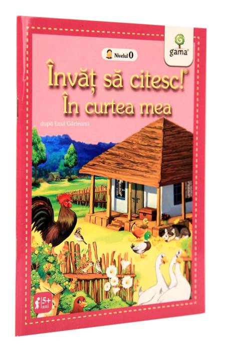IN CURTEA MEA / ICS 0
