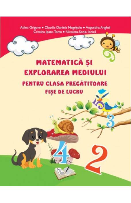 FISE LUCRU MATEMATICA CP 2019