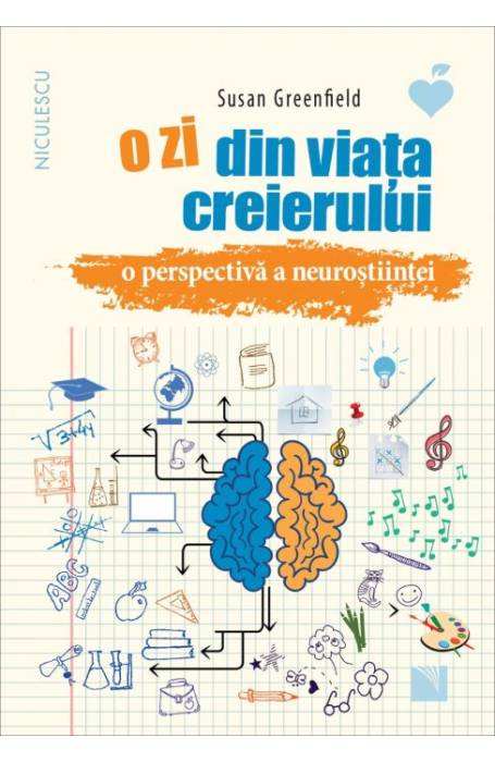 O ZI DIN VIATA CREIERULUI