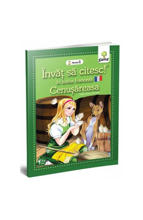 CENUSAREASA NIV 1 FRANCEZA
