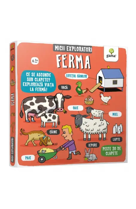 FERMA/ MICII EXPLORATORI