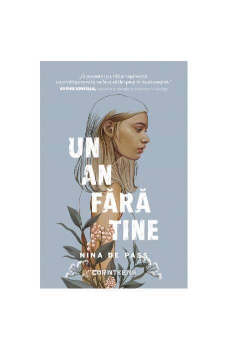 UN AN FARA TINE