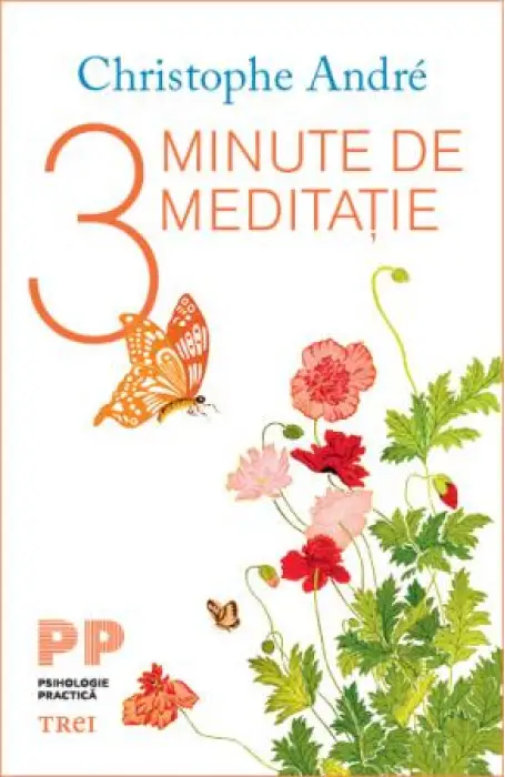 3 MINUTE DE MEDITATIE