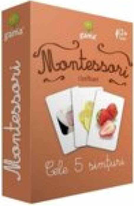 CELE 5 SIMTURI CJ MONTESSORI SERIA 4