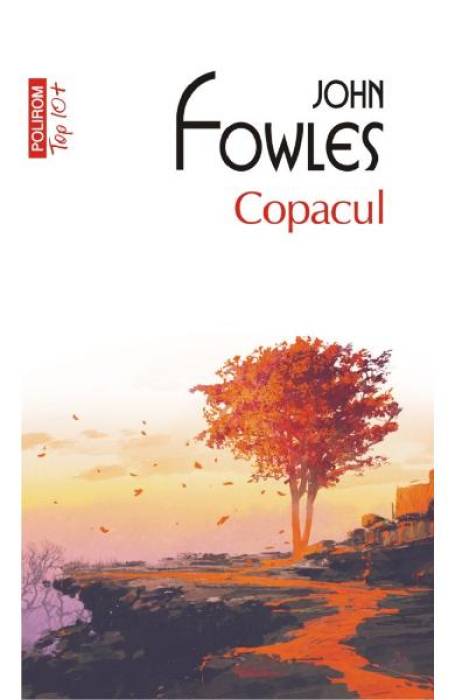 COPACUL TOP 10+ NR 552