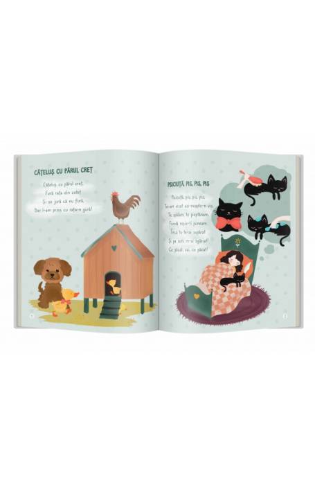 PRIMELE POEZII ALE LUI BEBE/ CARTILE LUI BEBE