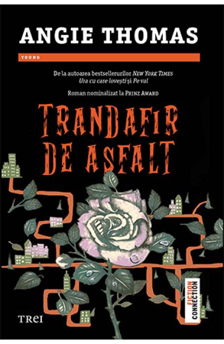 TRANDAFIR DE ASFALT