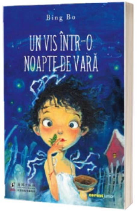 UN VIS INTR-O NOAPTE DE VARA