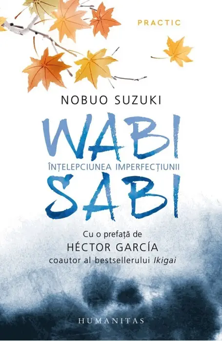 WABI SABI. INTELEPCIUNEA IMPERFECTIUNII PRACTIC