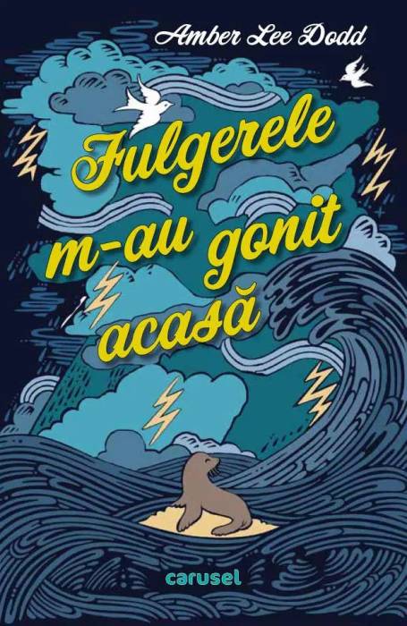 FULGERELE M-AU GONIT ACASA