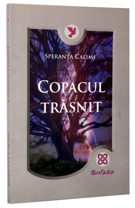 COPACUL TRASNIT