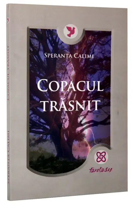 COPACUL TRASNIT