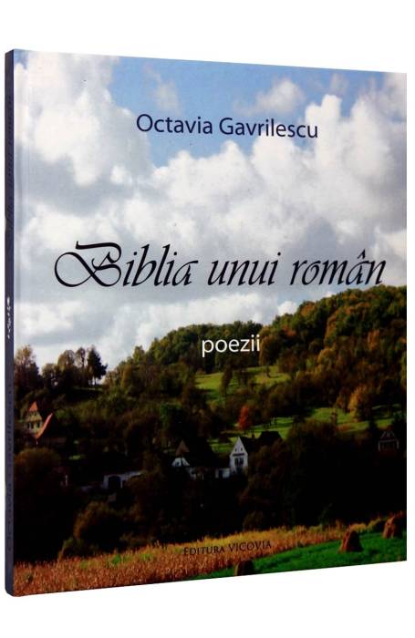 BIBLIA UNUI ROMAN