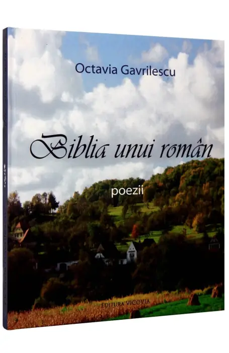 BIBLIA UNUI ROMAN