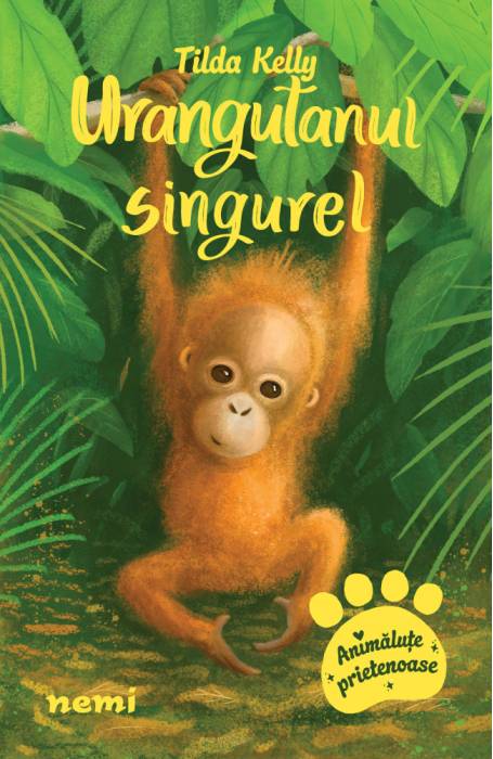 URANGUTANUL SINGUREL NEMI