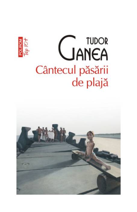 CANTECUL PASARII DE PLAJA TOP 10+ NR 651