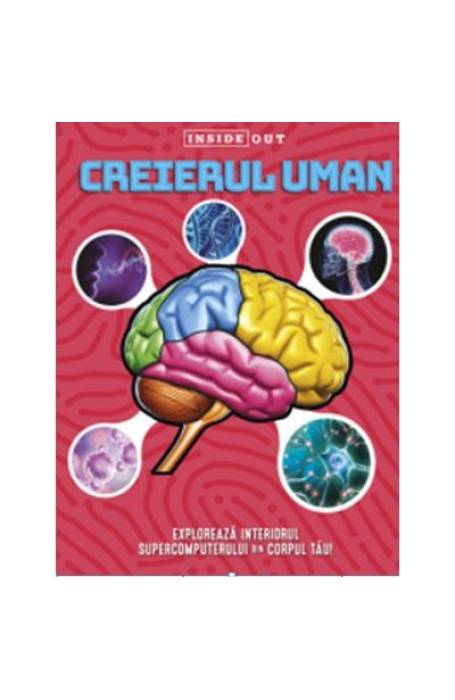 CREIERUL UMAN MODEL 3D