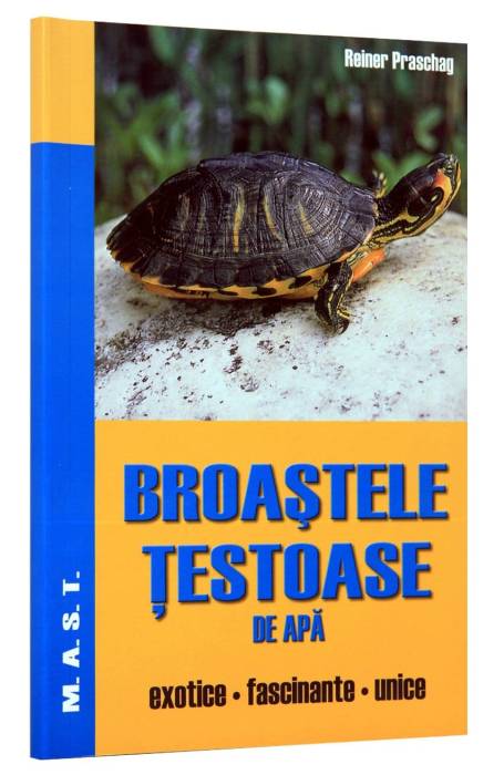 BROASTELE TESTOASE DE APA MAST