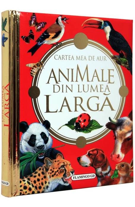 ANIMALE DIN LUMEA LARGA FLAMINGO