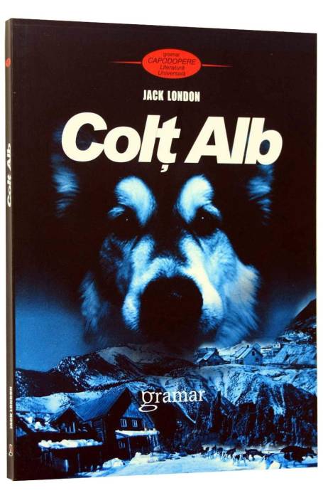 COLT ALB GRAMAR