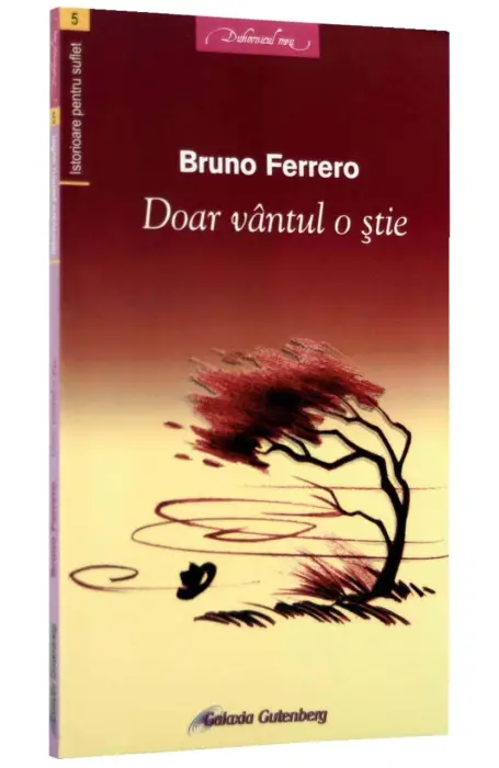 DOAR VANTUL O STIE V