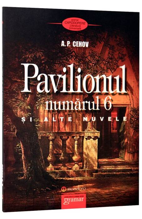 PAVILIONUL NR 6 SI ALTE NUVELE